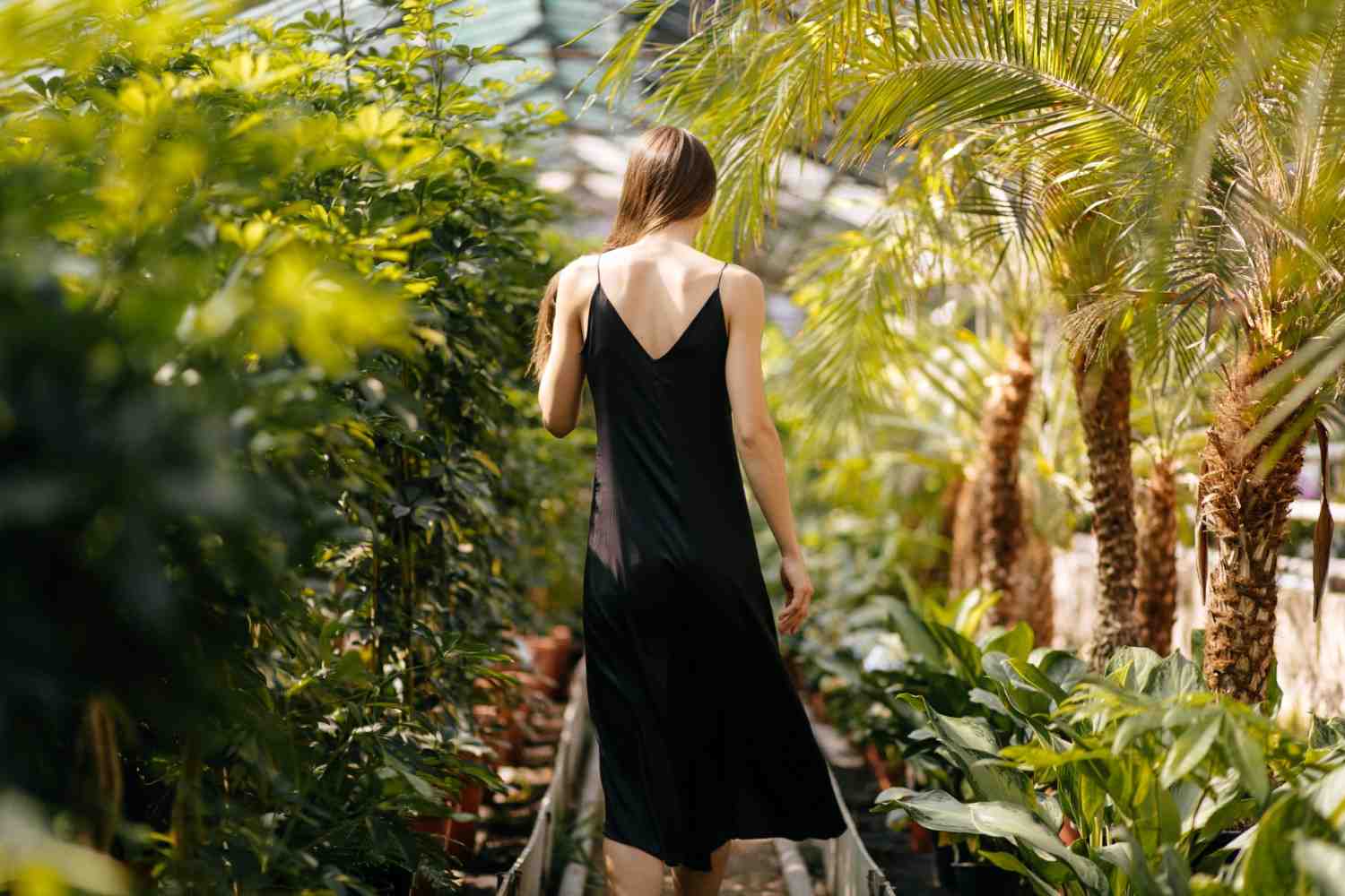 How to book an Escort Services in Palm Springs