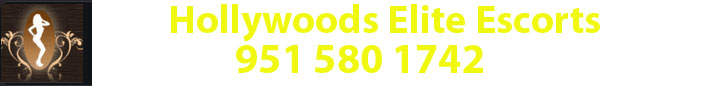 Banner Ads